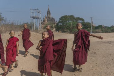 Angkor Wat, Kamboçya tapınağındaki Budist rahipler