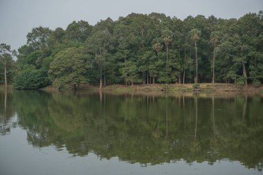 İlkbahar günü ormandaki gölette.