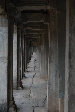 Angkor Wat, Kamboçya 'daki antik tapınak.