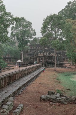 Ormandaki eski grunge kalıntıları