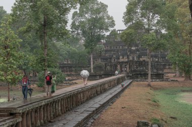 Ormandaki eski grunge kalıntıları