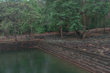 Ormandaki eski grunge kalıntıları