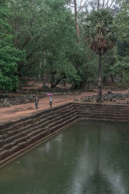 Ormandaki eski grunge kalıntıları