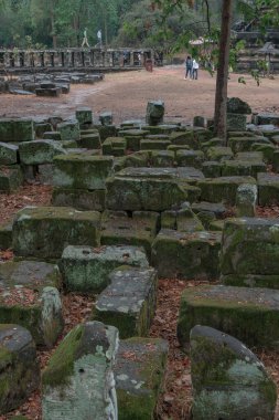 Ormandaki eski grunge kalıntıları