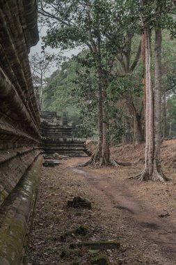 Harabeleri olan eski grunge binaları