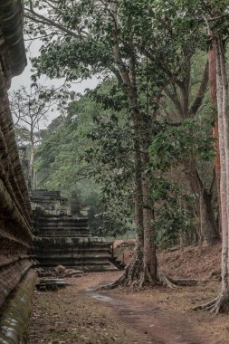 Harabeleri olan eski grunge binaları