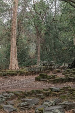 Harabeleri olan eski grunge binaları