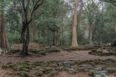 Harabeleri olan eski grunge binaları