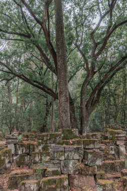 Harabeleri olan eski grunge binaları