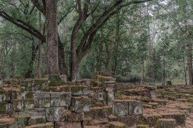 Harabeleri olan eski grunge binaları