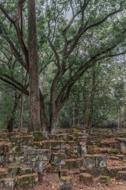 Harabeleri olan eski grunge binaları