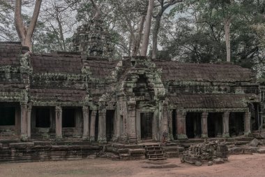 Harabeleri olan eski grunge binaları