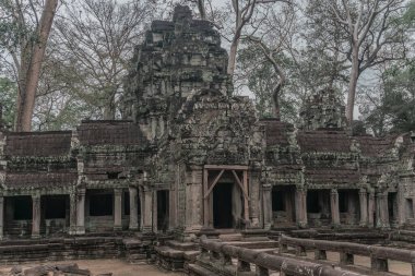 Harabeleri olan eski grunge binaları