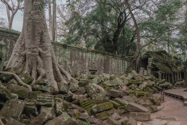 Harabeleri olan eski grunge binaları