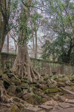 Harabeleri olan eski grunge binaları