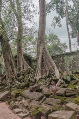 Harabeleri olan eski grunge binaları