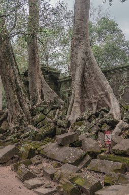 Harabeleri olan eski grunge binaları