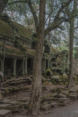 Harabeleri olan eski grunge binaları