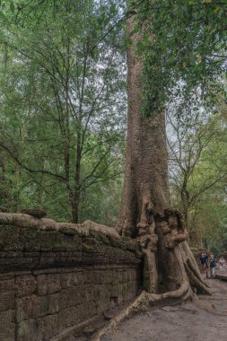 Harabeleri olan eski grunge binaları
