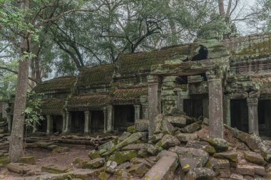 Harabeleri olan eski grunge binaları