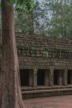 Harabeleri olan eski grunge binaları