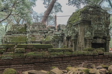 Harabeleri olan eski grunge binaları