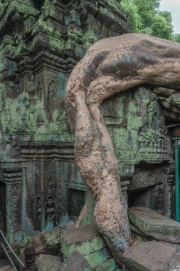 Harabeleri olan eski grunge binaları