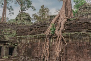 Harabeleri olan eski grunge binaları