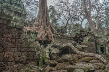 Harabeleri olan eski grunge binaları