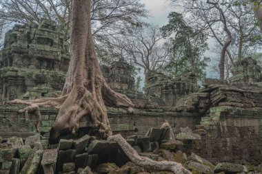 Harabeleri olan eski grunge binaları
