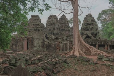 Harabeleri olan eski grunge binaları