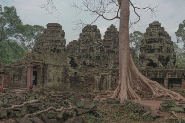Harabeleri olan eski grunge binaları