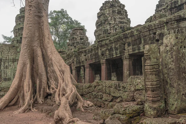 Harabeleri olan antik müze binaları