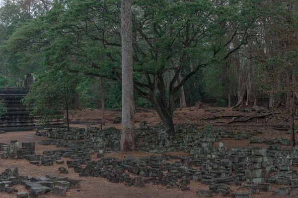 Ormandaki eski grunge kalıntıları