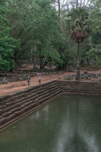 Ormandaki eski grunge kalıntıları