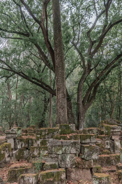 Harabeleri olan eski grunge binaları
