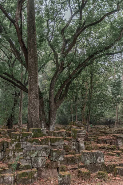 Harabeleri olan eski grunge binaları