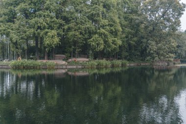 İlkbaharda parktaki gölet manzarası