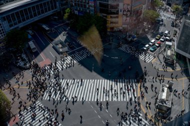 Yaya geçidinde insanların olduğu cadde manzarası