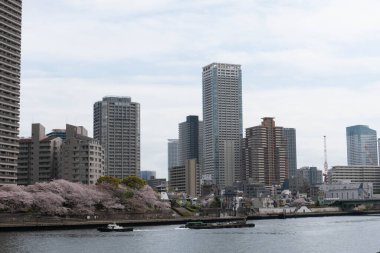 Modern binalar ve nehir manzaralı Çin caddesi manzarası