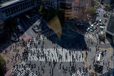 Yaya geçidinde insanların olduğu cadde manzarası