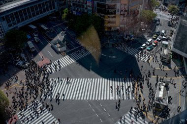Yaya geçidinde insanların olduğu cadde manzarası