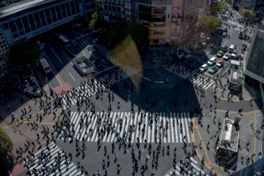 Yaya geçidinde insanların olduğu cadde manzarası