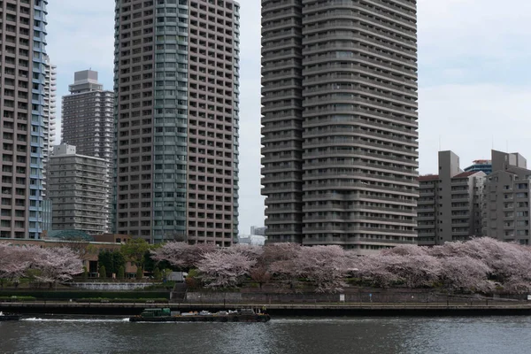 近代的な建物や川と中国の通りの眺め — ストック写真