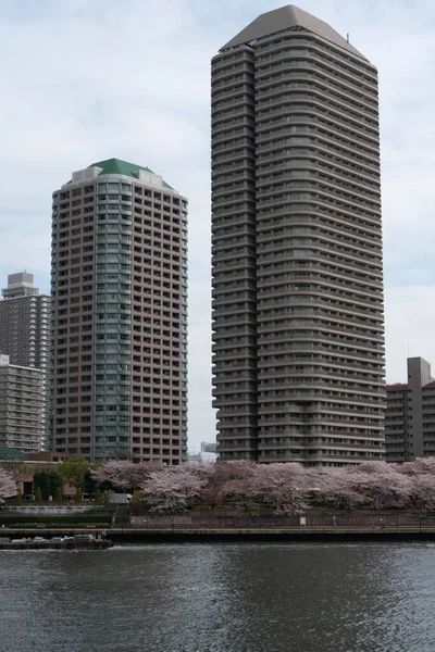 近代的な建物や川と中国の通りの眺め — ストック写真