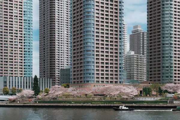 Modern binalar ve nehir manzaralı Çin caddesi manzarası