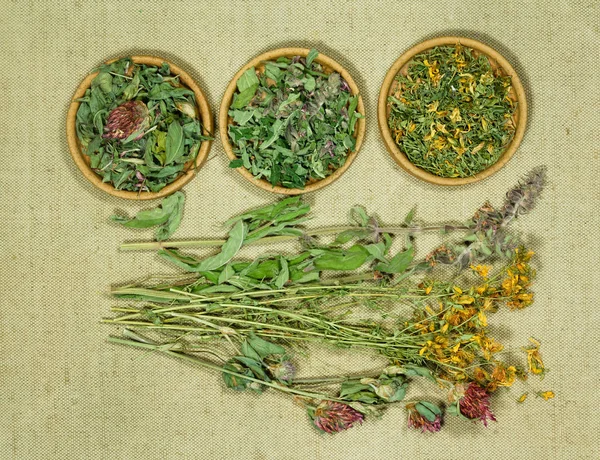 Set of healing herbs. Dry herbs for use in alternative medicine, phytotherapy, spa, herbal cosmetics. Preparing infusions, decoctions, tinctures. Used in powders, ointments, butter, tea, bath