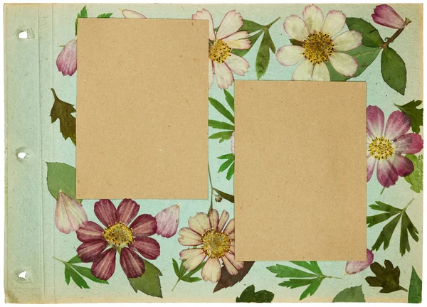 Page from an old photo album pistachio color. Scrapbooking element decorated with leaves, flowers and petals cosmos. Rustic, country style album page in scrapbook with frames for photo.