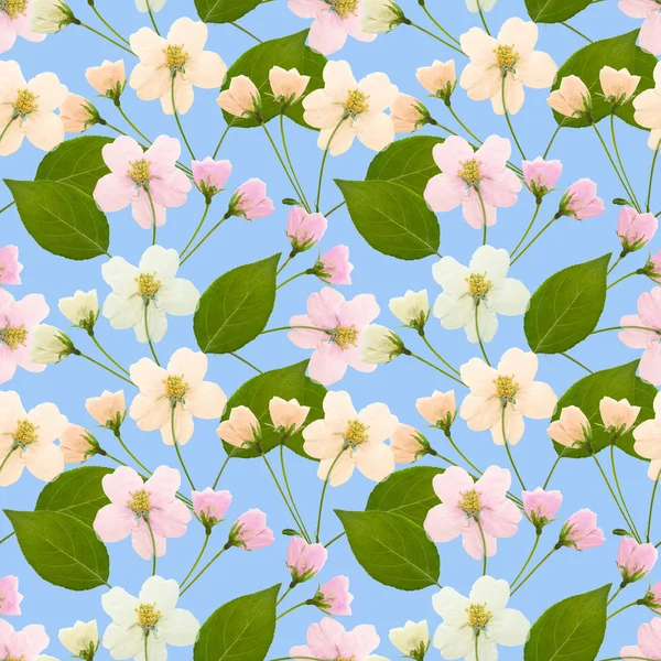 Apple flowers. Texture of flowers. Seamless pattern for continuous replicate. Floral background, photo collage for production of textile, cotton fabric. For use in wallpaper, covers