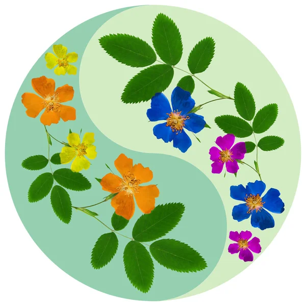 Floral Yin Yang symbol. Geometric Yin Yang symbol drawing made by plants on colored background in oriental style. Yin Yang symbol from flowers, petals and leaves. Geometric mandala picture.